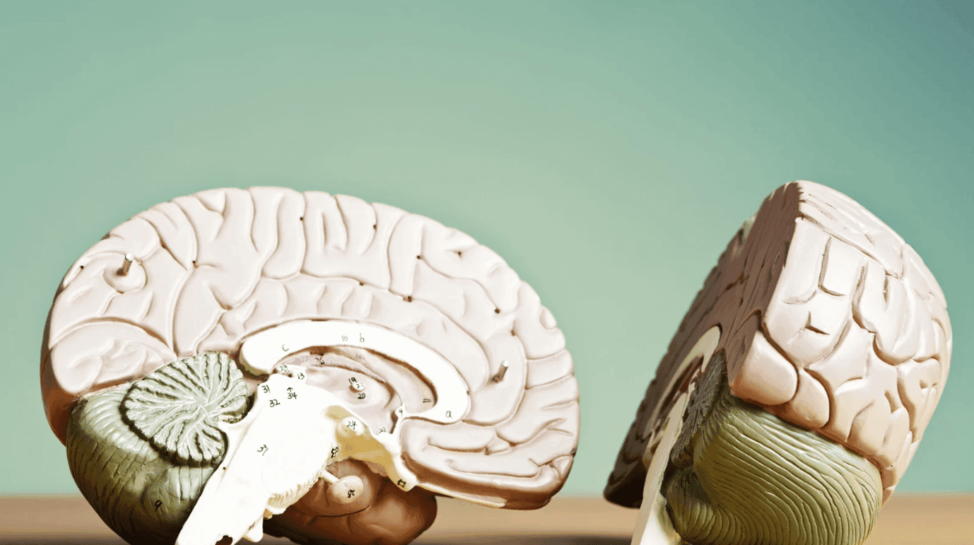 Anger Management and Therapy: What Treatment Options Exist