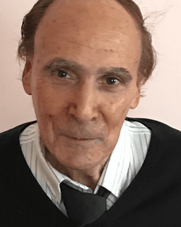 Stephen Robert Stein