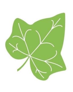 Ivy Bridge Counseling