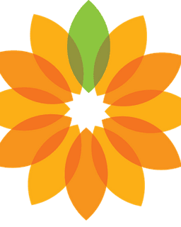 DBT Center of Silicon Valley