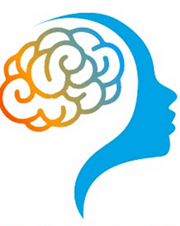 Interaction Dynamics