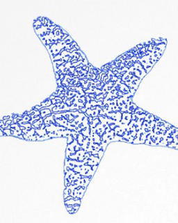 One Starfish Counseling and Supervision