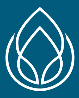 Rize OC Mental Health