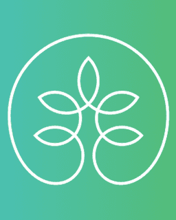 Meadowbrook Counseling of Florida