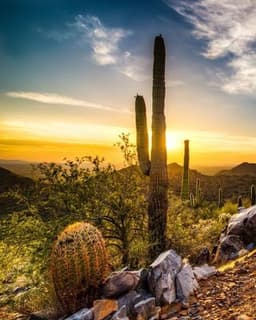 People Empowering People of Az, Inc