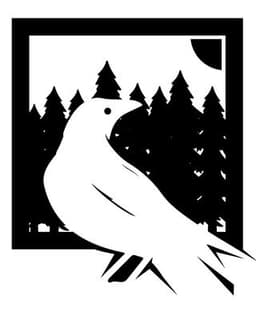 Ravenwise Consulting