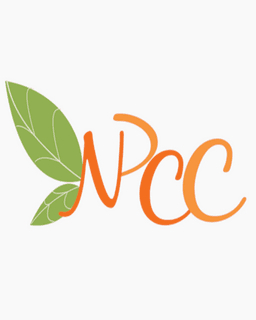 New Perspectives Center for Counseling