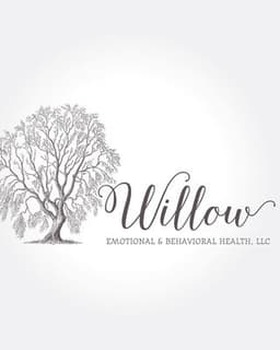 Willow Emotional & Relational Health