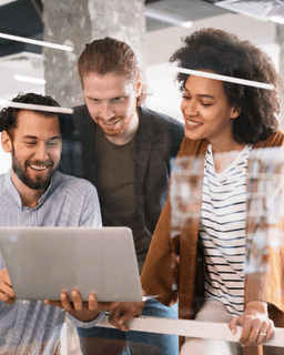 Whole Mind Consulting