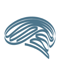 Jason Nelson, PhD, LLC