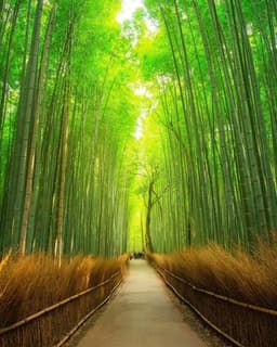 Milford-Franklin Counseling Services