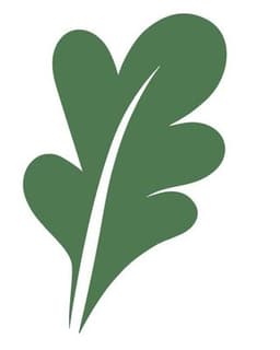 Women’s Health Specialists @ Oak Point Counseling