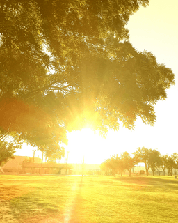 Brighter Day Therapy