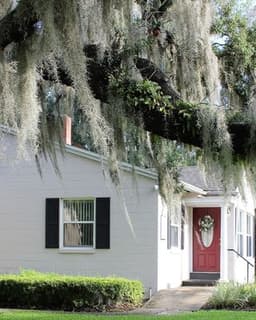 Lutheran Counseling Services