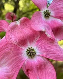 Purpose Counseling and Psychotherapy