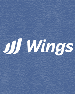 Wings Foundation