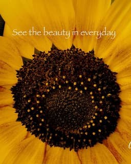 Self-Concepts Global & Sesa Wo Suban Hypnotherapy