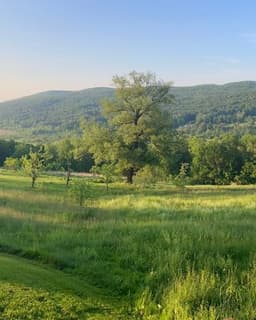 Erika Baluk-Shepardson