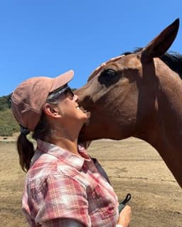 The Equine Healing Collaborative