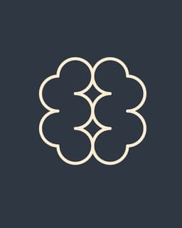 The Brain Psychologist