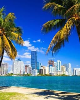 Thousand Branches Wellness-Miami