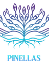 Complete Therapy Pinellas