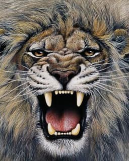 Encouragers Counseling & Training Centers Inc.