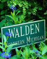 Walden Counseling