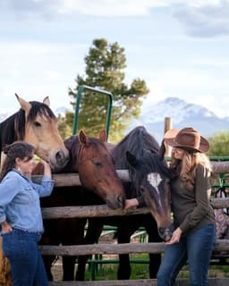 The Synergy Collective