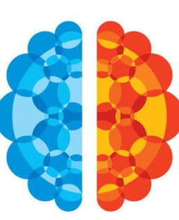 Chicago ADHD Associates