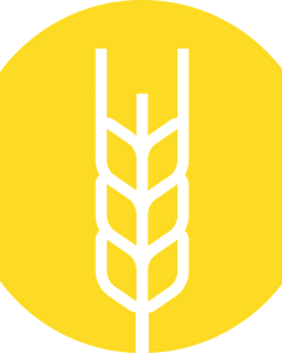 Central Kansas Counseling