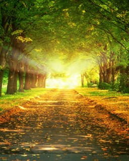 Fresh Start for the Mind, LLC