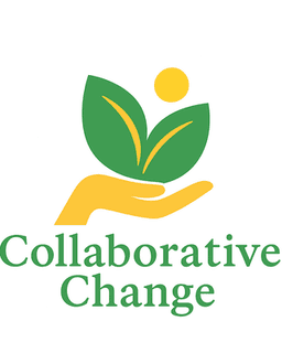 Collaborative Change
