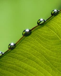 Crossroads Behavioral Health, Inc.