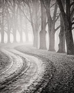 Melissa L. Fijol, LMHC