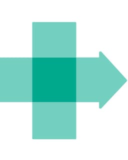 The Multi-Service Eating Disorders Association