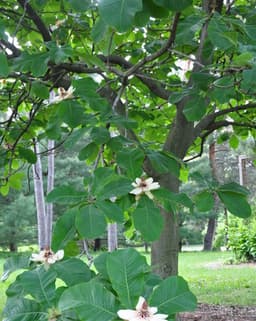 The Kennedy Center for Counseling