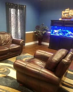 The Psychology Clinic