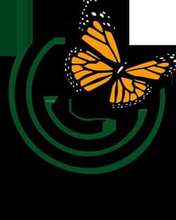 The Butterfly Group