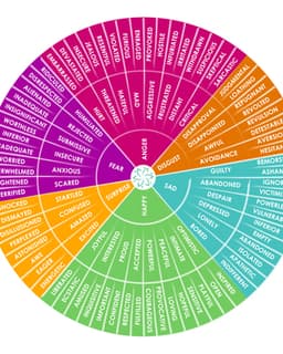 A Therapeutic Alliance