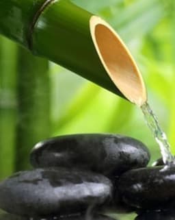 Adult and Child Psychological Services