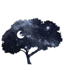 Shady Grove Behavioral Health, LLC