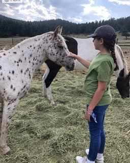 Animal Assisted Therapy- Mountains-CO Medicaid