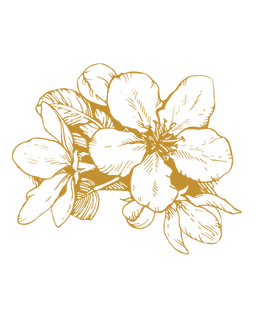 Arkansas Counseling and Wellness Services