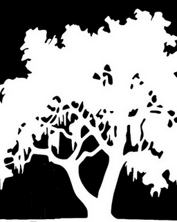 Dr. Timothy Charles Hutchinson