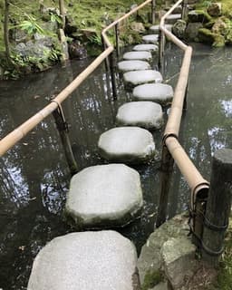 Dr. Shannon Magnis - Group Therapy