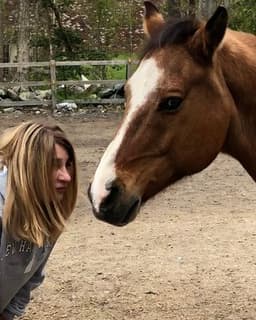 Soothing Spirit Soulutions