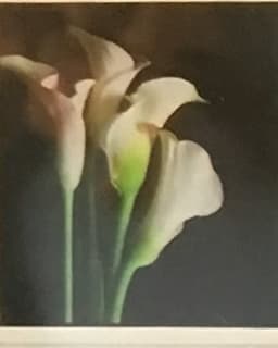 A Partnership In Creative Counseling