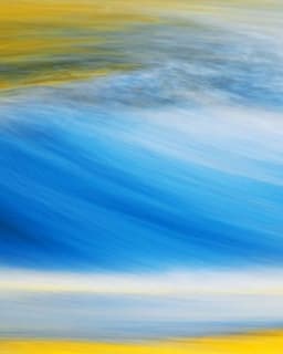 Cerda Sniffin Psychology Group