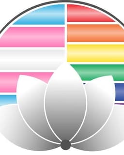 Transitions Delaware LLC